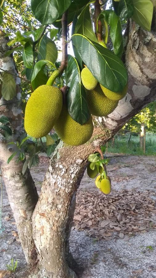 Recanto De Zeze Ilhéus Exterior foto